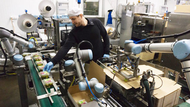 Pick, place, package – Bei Atria Scandinavia im westschwedischen Skene arbeiten drei UR-Roboterarme Hand in Hand mit ihren menschlichen Kollegen. Dort etikettieren sie die Gourmetprodukte des nordeuropäischen Lebensmittelherstellers, verpacken sie in Kartons und stapeln diese schließlich auf Paletten. (Universal Robots)