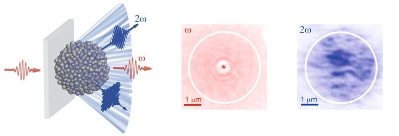 In den mikrometergroßen Kügelchen verwandeln die ungeordneten Nanokristalle das eintreffende rote Licht durch Frequenzverdopplung in blaues Licht. Dieses wird in verschiedene Richtungen abgestrahlt. (Romolo Savo / ETH Zürich)