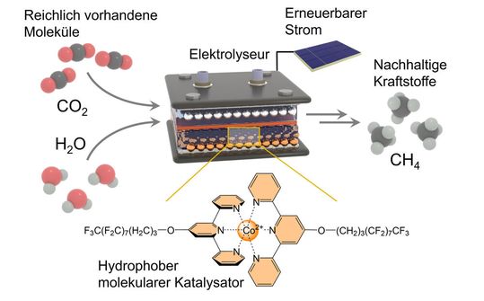 Der hydrophobe Katalysator (unten) hält die H2O-Moleküle im Elektrolyseur (oben) vom aktiven Zentrum fern. Zugleich entreißt er Wasser Wasserstoff-Atome und schafft diese zum aktiven Zentrum, wo sie mit Kohlenstoff zu Methan reagieren.(Bild:  Nikolay Kornienko)
