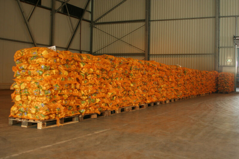 Sortiert und verpackt – Kartoffeln fertig zur Auslieferung (Bild: Stratus)