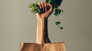  (Pixabay, CCO Public Domain)