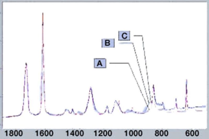 Abb.2: Peaks im Raman-Spektrum zeigen Kristallinitätsbereiche.  (Bild: Perkin Elmer)