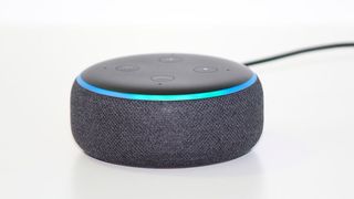 Von wem stammen die Alexa Skills, und welche verwendet der Sprachassistent? Forscher kritisieren die fehlende Transparenz. (Bild: gemeinfrei)