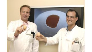 Prof. Dr. Georg Gosheger (l.) und Dr. Maurice Balke haben ein Labormodell für Riesenzelltumoren des Knochens entwickelt.  (Bild: UKM)