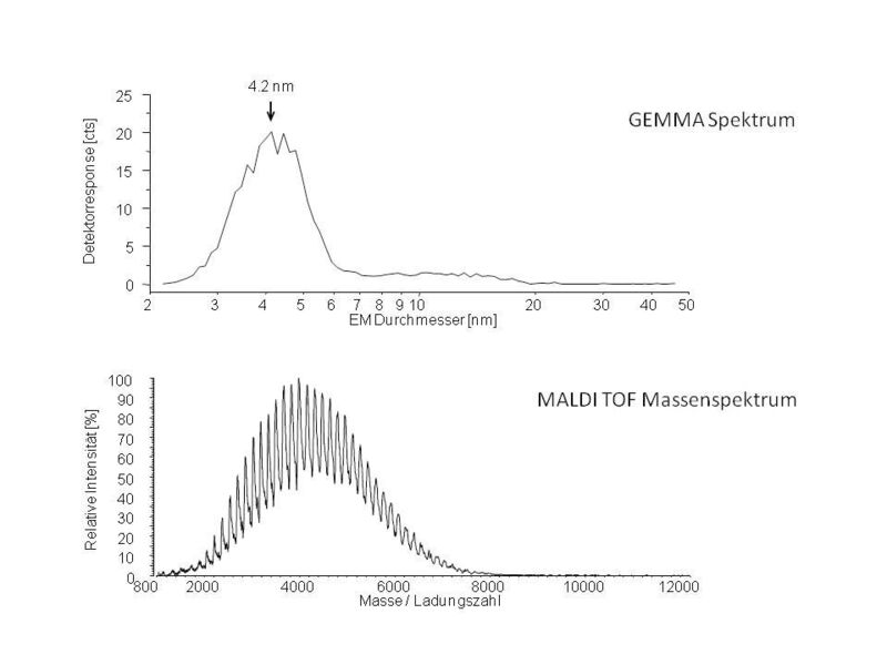 Abb. 2: GEMMA-Spektrum (oben) und MALDI-Massenspektrum (negativer, linearer Modus; unten) einer dervatisierten Dextranmischung isoliert aus Leuconostoc mesenreroides.  (Bild: TU Wien)