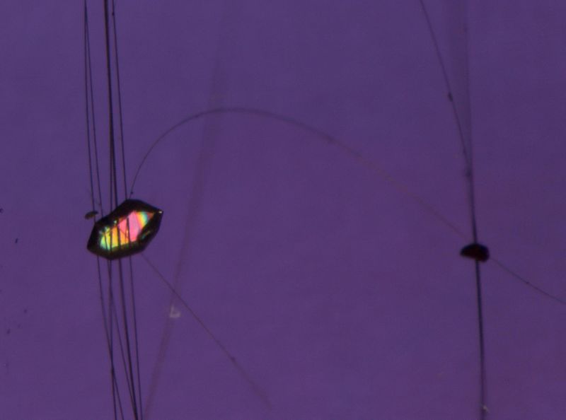 Bergkristall (Quarz) mit Rutilnadeln, eingeschlossen in Bergkristall (Quarz). Fundort: Minas Gerais, Brasilien. Das Bild zeigt einen Quarzkristall-Doppelender, der mit gebogenen Rutilnadeln (Titanoxid, TiO2) verwachsen ist und wiederum von einer 2. Generation von Quarz umwachsen wurde. Aufgrund des gleichen Lichtbrechungsindex des Einschlusses als auch des Wirtminerals ist der Einschluss in normalem Licht kaum sichtbar, hingegen in polarisiertem Licht gut erkennbar. Bildbreite: ca. 1.2 mm, Durchlicht, gekreuzte Polarisatoren, Rot 1-Kompensator, Leica MZ16 Stereomikroskop (Michael Hügi, Schweizerisches Gemmologisches Institut)