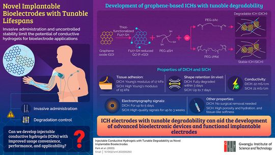 Forscher des Gwangju Institute of Science and Technology haben injizierbare Bioelektroden mit einstellbaren Lebensdauern entwickelt. Forscher des Gwangju Institute of Science and Technology haben injizierbare Bioelektroden mit einstellbaren Lebensdauern entwickelt.