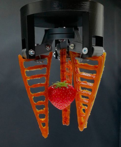 A 3D printed self-healing gripper holding a strawberry. (Vrije Universiteit Brussel)