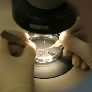 Präparation von Gewebe 