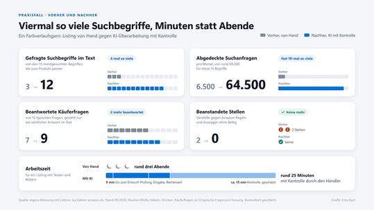 Vorher und nachher: Gefragte Suchbegriffe, abgedeckte Suchanfragen, beantwortete Käuferfragen, beanstandete Stellen und Arbeitszeit im Praxisfall.(Enes Kurt)