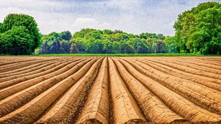 Wie groß ist die Belastung von Äckern mit Mikroplastik? Das sollen Forschungsarbeiten in einem EU-weiten Projekt untersuchen. (gemeinfrei, Tama66)