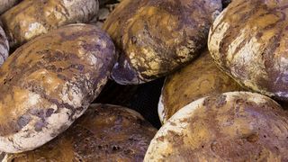 Brotqualität: Wägetechnik von Siemens sorgt für schonende Teigverarbeitung sowie genaue Verwiegung. (Siemens)