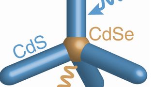 Der Lichtsammelkomplex besteht aus vier Antennen aus dem Halbleiter Cadmiumsulfid sowie einem Kern aus dem Material Cadmiumselenid.  (Bild: Universität Regensburg)
