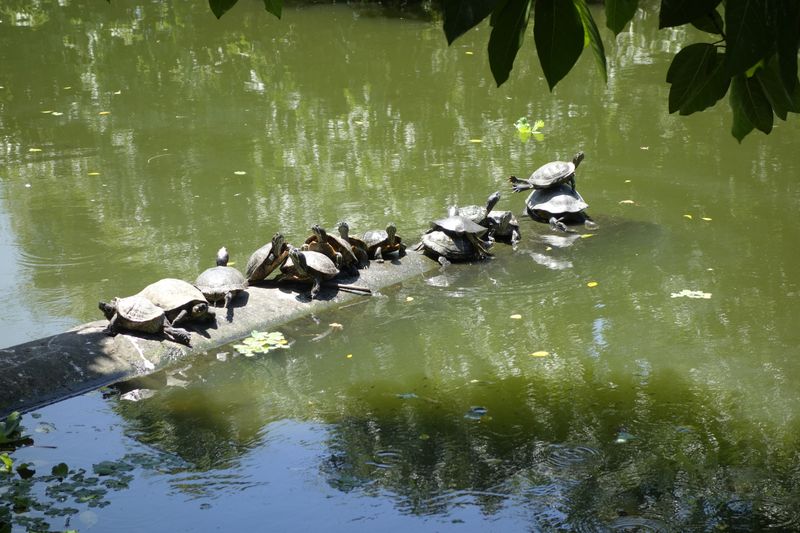 Yoga unter der Sonne. (Bild: IT-BUSINESS)