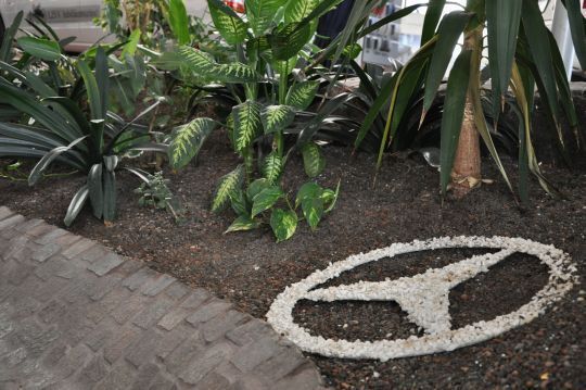 Auch im grünen Bereich glänzt bei Oppel der Stern. (Archiv: Vogel Business Media)