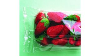 Die kristallklare Bioverpackung lässt Erdbeeren frisch aussehen und hält sie zudem länger frisch. Bild: Treofan (Archiv: Vogel Business Media)