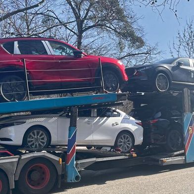 Ein wenig Sonnenschein für den gebeutelten Neuwagenmarkt: Im Februar legten die Neuzulassungen um 3,8 Prozent zu – einige Fabrikate schmieren trotzdem ab. (Bild: Grimm – VCG)