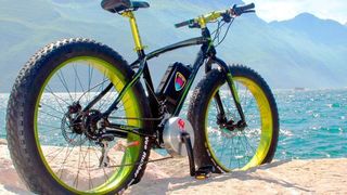 Ein zum E-Bike umgebautes Fat Bike mit einem 750-W-Antrieb. (Bikee Bike)