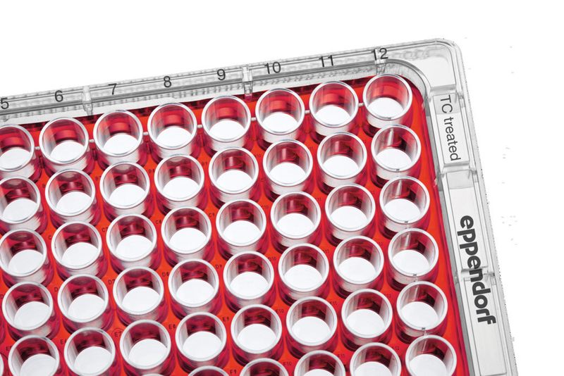 Abb. 1: ...B) Isolierung aller 96 Wells durch Befüllung des gesamten Zwischenraumes (Bild. Eppendorf)