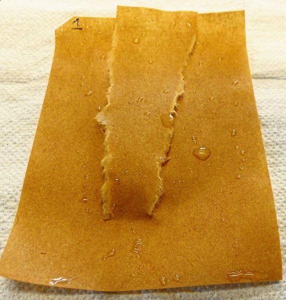 Abb. 5: Beschichtetes Papier nach dem Nassreisstest  (Bild: © Fraunhofer ISC)