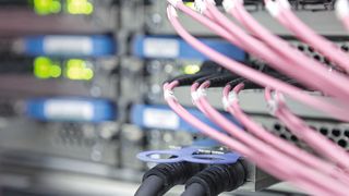 94210232 (© Nik van Veenendaal Fotodesign)