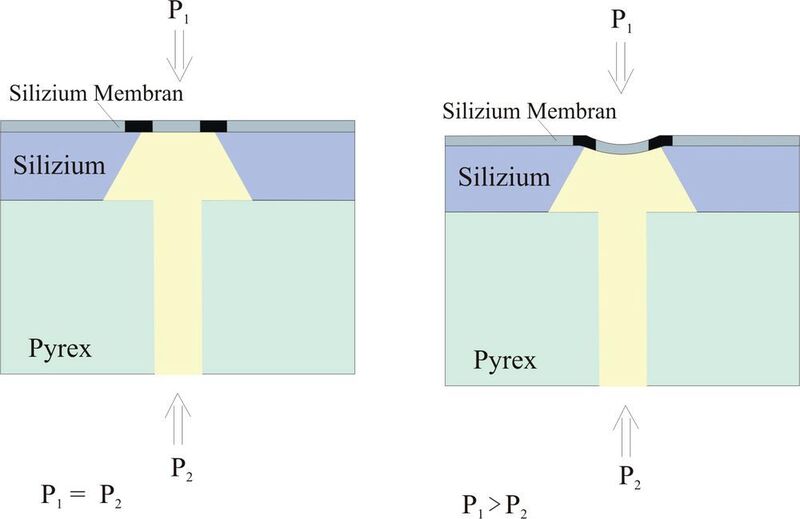 Abbildung 2: Verhalten der Membran eines piezoresitiven Drucksensors bei der Messung eines Differenzdruckes unter der Bedingung P1 ≥  P2. (Amsys)