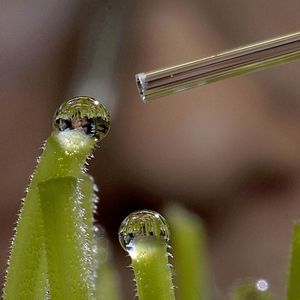 BASF investiert 200 Millionen Euro in die Fungizid-Produktion.