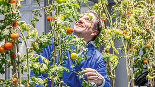 Prof. Dr. Thomas Ott hat am CIBSS – Centre for Integrative Biological Signalling Studies einen grundlegenden Schritt bei der Entstehung der Symbiose zwischen Pflanzen und Bodenbakterien erforscht. (Bild: Michael Spiegelhalter / Universität Freiburg)