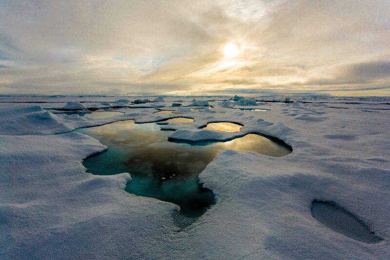 Schmelztuempel auf arktischem Meereis (Stefan Hendricks, Alfred-Wegener-Institut)