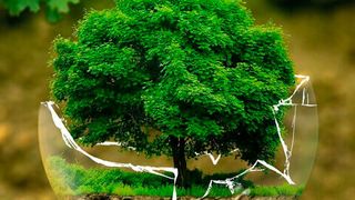 VeChain ermöglicht Unternehmen nachhaltige und umweltfreundliche Prozesse. (Bild: ejaugsburg)