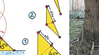 Kerben sind Schwachstellen. Mit einer Formgebung nach dem Vorbild der Natur können sie aber so optimiert werden, dass sie weniger hohe Spannungskonzentrationen bewirken. (Bild: KIT)