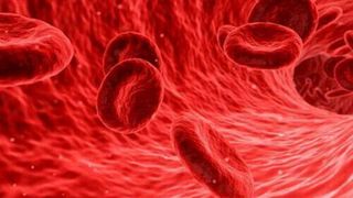 The mainstay of treatment for DVT is anticoagulation therapy.  (Source: Public Domain)