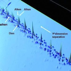 Abb. 2: 2D-Chromatogramm der Polyethylenfragmente in räumlicher Darstellung. Die Bestimmung von Mikrostrukturen, die Aufklärung der monomeren Zusammensetzung sowie die Identifikation von Additiven sind gegenüber Standardchromatogrammen verbessert.