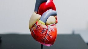 Early ECG monitoring initiated in the emergency department has the potential to transform the care of thousands of patients who attend the ED with unexplained fainting. (Source: Unsplash)
