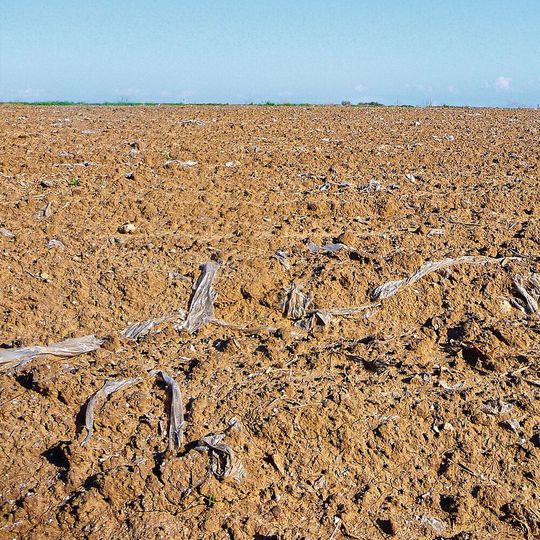 Abb. 1: Reste von  konventionellen  Mulchfolien im Ackerboden nach der Vegetationsperiode. (Bild:  © Jukka Ahokas, University of Helsinki für VTT)