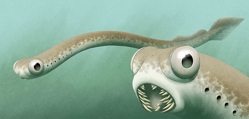 Künstlerische Darstellung von Conodonten (Ceri Thomas, Nix Illustration / CC BY 4.0)