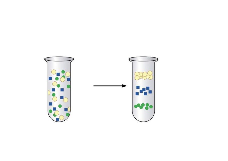 3	 Bei der isopyknischen Zentrifugation beruht die Trennung der Partikel auf deren Dichte. Die Partikel der Probe wandern zu dem Bereich innerhalb des Gradientenmaterials, der ihrer eigenen Dichte entspricht. Der Gradient entsteht hierbei von selbst während der Zentrifugation. (Archiv: Vogel Business Media)