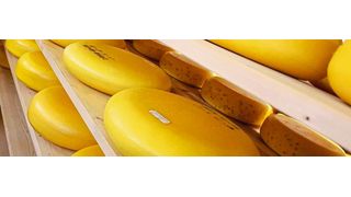 Käserei kombiniert Handwerkskunst und Automatisierungstechnik – und macht damit die Käseherstellung transparent, sicher und lecker. (Bild: FP Inovolabs)