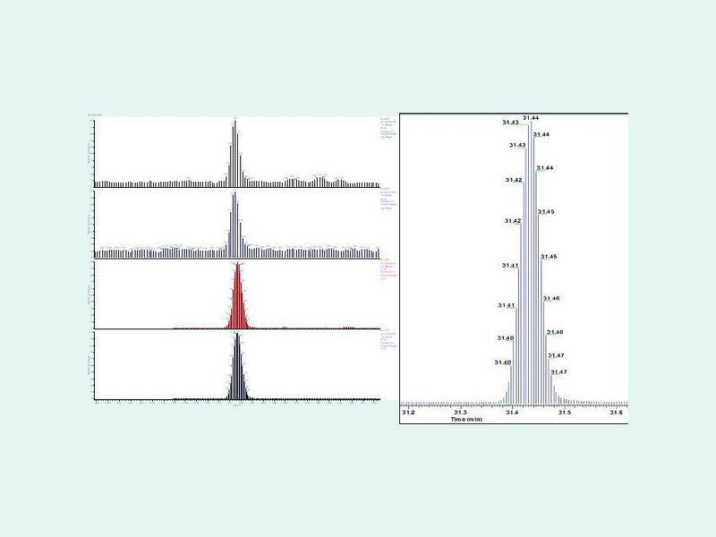 6	 Vergleich der Datenaufnahme. Oben: Segment-SRM mit 29 parallelen Übergängen, 10 ms dwell time für jede Komponente, zehn Datenpunkte pro Peak; Unten: Timed-SRM mit 150 ms/Übergang und 300 ms Cycle Time, 28 Datenpunkte/Peak (Details in Abbildung rechts). (Archiv: Vogel Business Media)