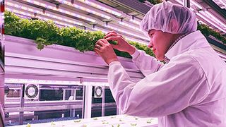 vertical-farming-4 (Dexion GmbH)