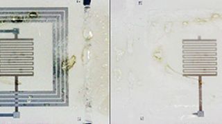 Ein Elektronikbauteil zerstört sich selbst: Über ein Funksignal wird ein integriertes Hitzeelement ausgelöst. Die Schaltkreise lösen sich nach und nach auf. (Bild: Scott White / University of Illinois)