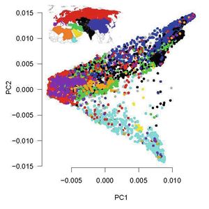 Die genetische Struktur der Sammlung spiegelt die geographische Herkunft wider. Jeder farbige Punkt stellt ein Genbank-Muster dar. Kultursorten und Landrassen, die aus denselben Weltregionen kommen, sind auch in einer Analyse der genetischen Struktur benachbart. Die genetischen Daten können also traditionelle Passport-Daten ergänzen und so die Auswahl züchterisch wertvoller alter Landrassen erleichtern.