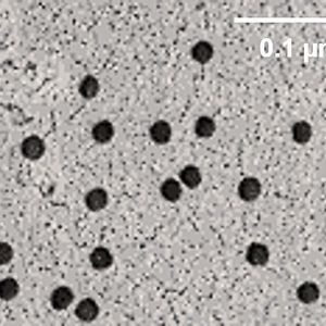 Rasterelektronenmikroskopische Aufnahme der Oberfläche der Polymerfolie mit Nanoporen.