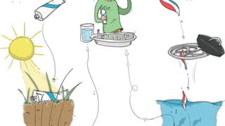 Der Weg von primärem und sekundärem Mikroplastik in unserer Nahrungskette. (Bild: Fraunhofer UMSICHT/Matthias Holländer)