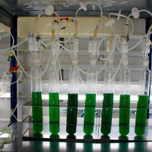 (Universität Tübingen)