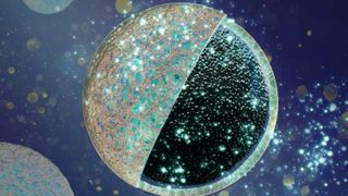 Eine äußere Schutzschicht schirmt den porösen Kern der Kohlenstoffanode gegen unerwünschte Einlagerungen ab und erhöht so die Leistungsfähigkeit der Batterie. (Bild: BAM)