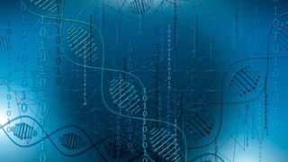 Using large-scale computational modeling of digital organisms across more than 100 dynamically changing fitness landscapes, researchers show how evolutionary outcomes depend strongly on environmental history. (Source: free licensed)