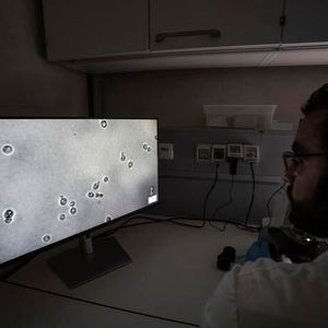Der Mikrobiologe Mohamed Sarhan untersucht die Hefezellen unter dem Mikroskop.(Bild:  Eurac Research, Andrea De Giovanni)