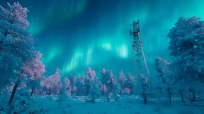 Finnland verbindet Natur und Hochtechnologie: Das Land treibt die Entwicklung der sechsten Mobilfunkgeneration mit einem einzigartigen Ökosystem aus Forschung, Industrie und staatlicher Förderung voran. (Bild: KI-generiert)