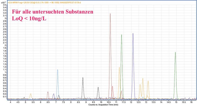 Abb. 5: Standardmischung der Zielanalyten (10 ng/L) nach Extraktion und Aufreinigung unter Einsatz der SPE-XOS-Einheit. Für alle untersuchten Substanzen wurde eine Bestimmungsgrenze (LoQ) von < 10 ng/L erreicht. (Bild: Gerstel)